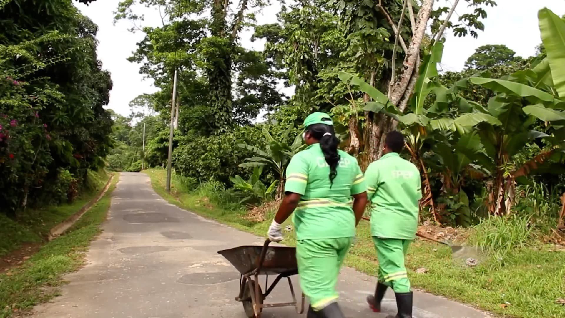 16,000 Fired. 220 Replaced. The Drains Remain.