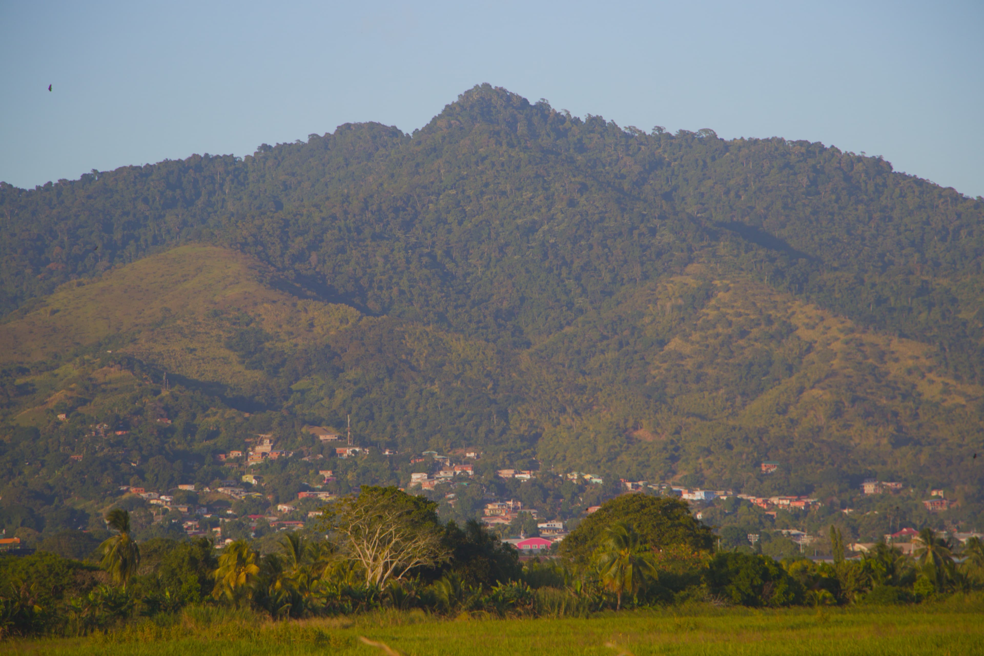 The Northern Range viewed from the Caroni Plains, Trinidad